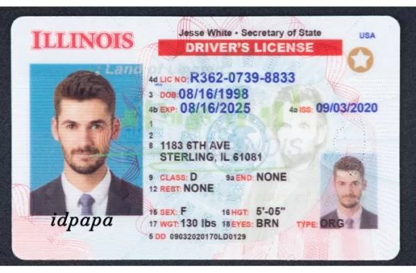 Buy fake Illinois Driver License