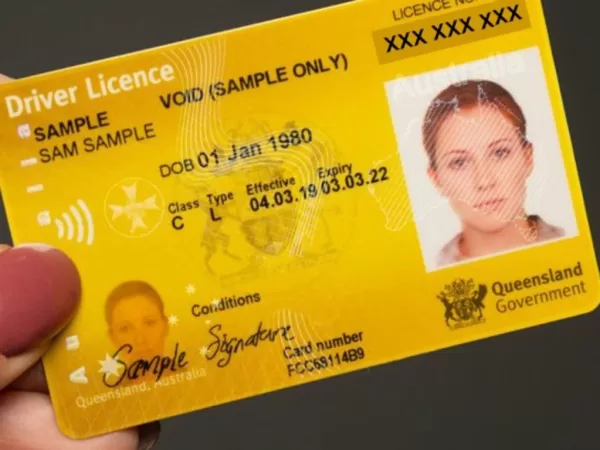Fake Queensland Driving License