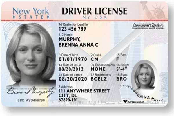 Fake New York Driver License