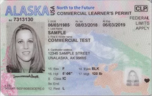 Buy fake Alaska Driving License online