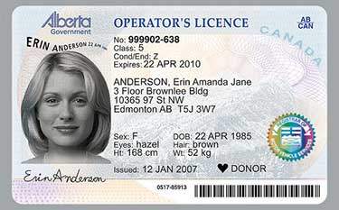Buy Alberta Fake ID
