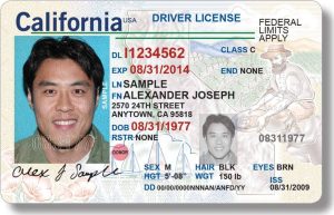 Buy California License Online USA