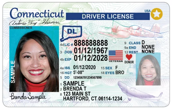 Buy fake Connecticut Driver License
