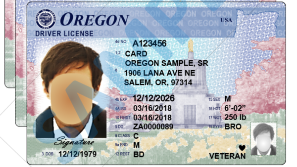 Fake Oregon ID