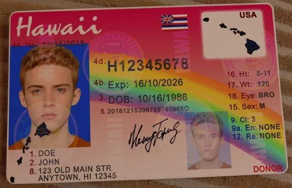 Hawaii Fake ID for sale