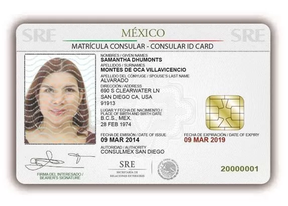Buy Fake Mexico ID Card